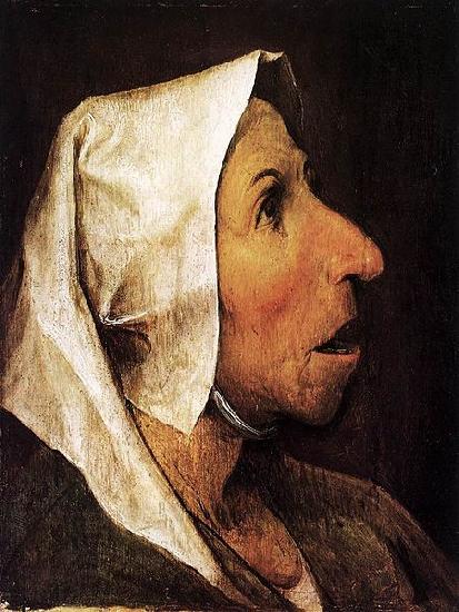 Pieter Bruegel the Elder Portrait of an Old Woman China oil painting art